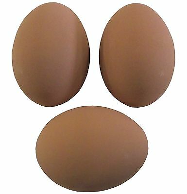 3 Pack Brown Ceramic Dummy Chicken Nesting Nest Fake Training Egg Hatching Craft