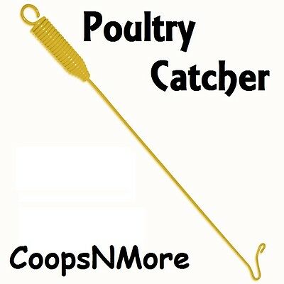 48" Chicken Catcher Leg Hook Catching Poultry Goose Geese Duck Turkey Fowl Bird